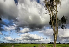 AC米兰足球俱乐部官网能为球迷提供哪些独特体验？